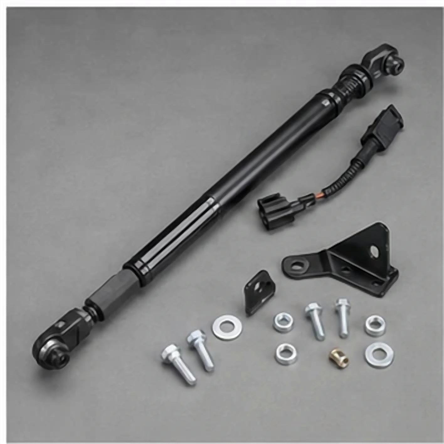 Ford OEM FL3Z-99406A10 Tailgate Assist product reference