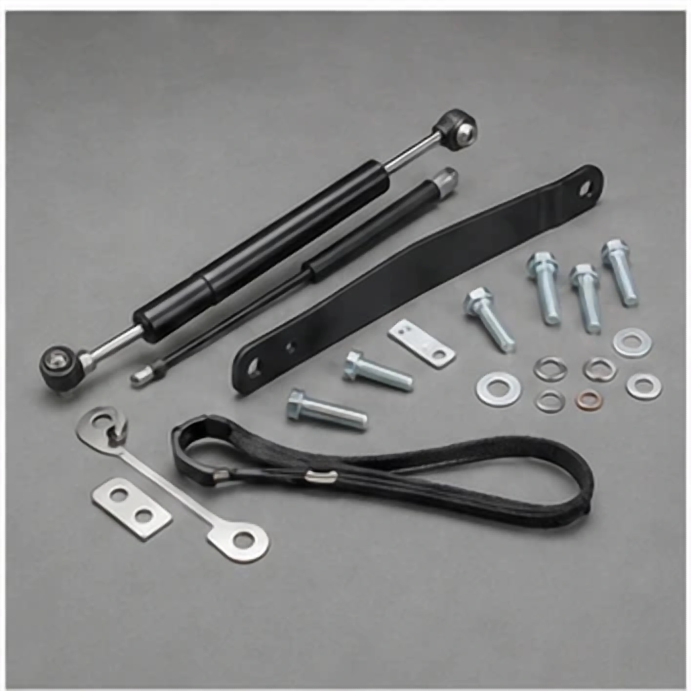 Winunite Tailgate Assist Shock product reference
