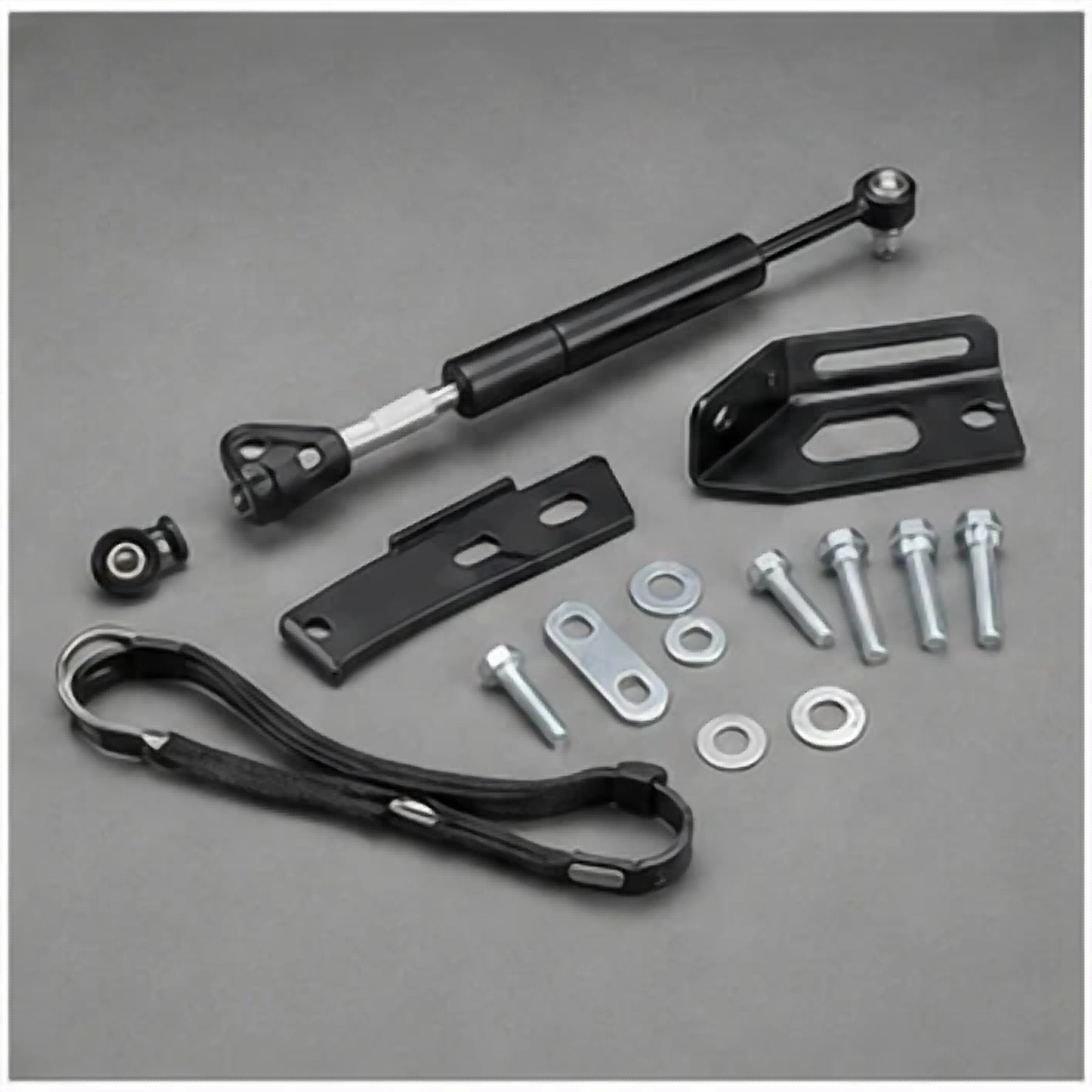 Orion Motor Tech Tailgate Assist product reference